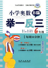 小學奧數(shù)舉一反三·六年級B版·鉆石版 廣告業(yè)務視角下的視覺營銷商品圖庫構建策略